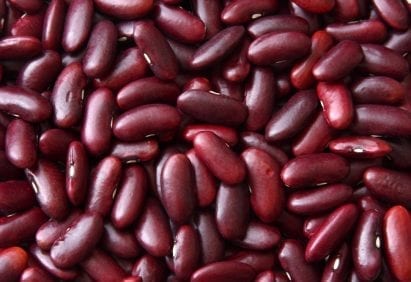 beans dark red