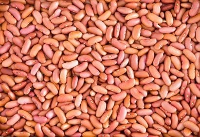 beans navy