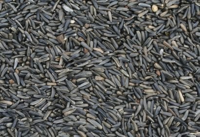 birdfood Niger seeds