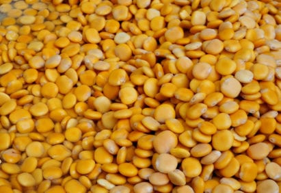 Lupin beans
