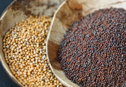 Yellow and Brown Mustard Seeds