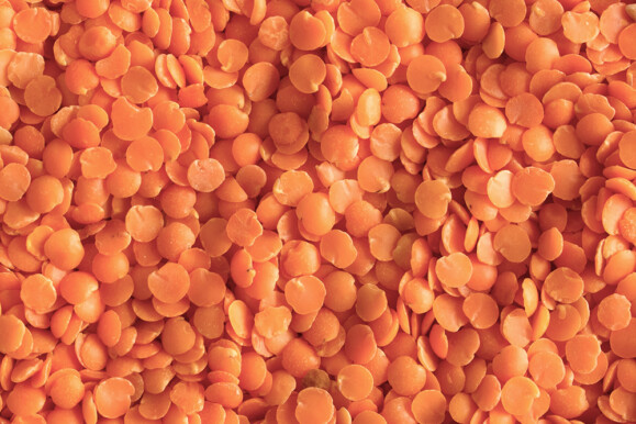 lentils1-split red lentils 40083923